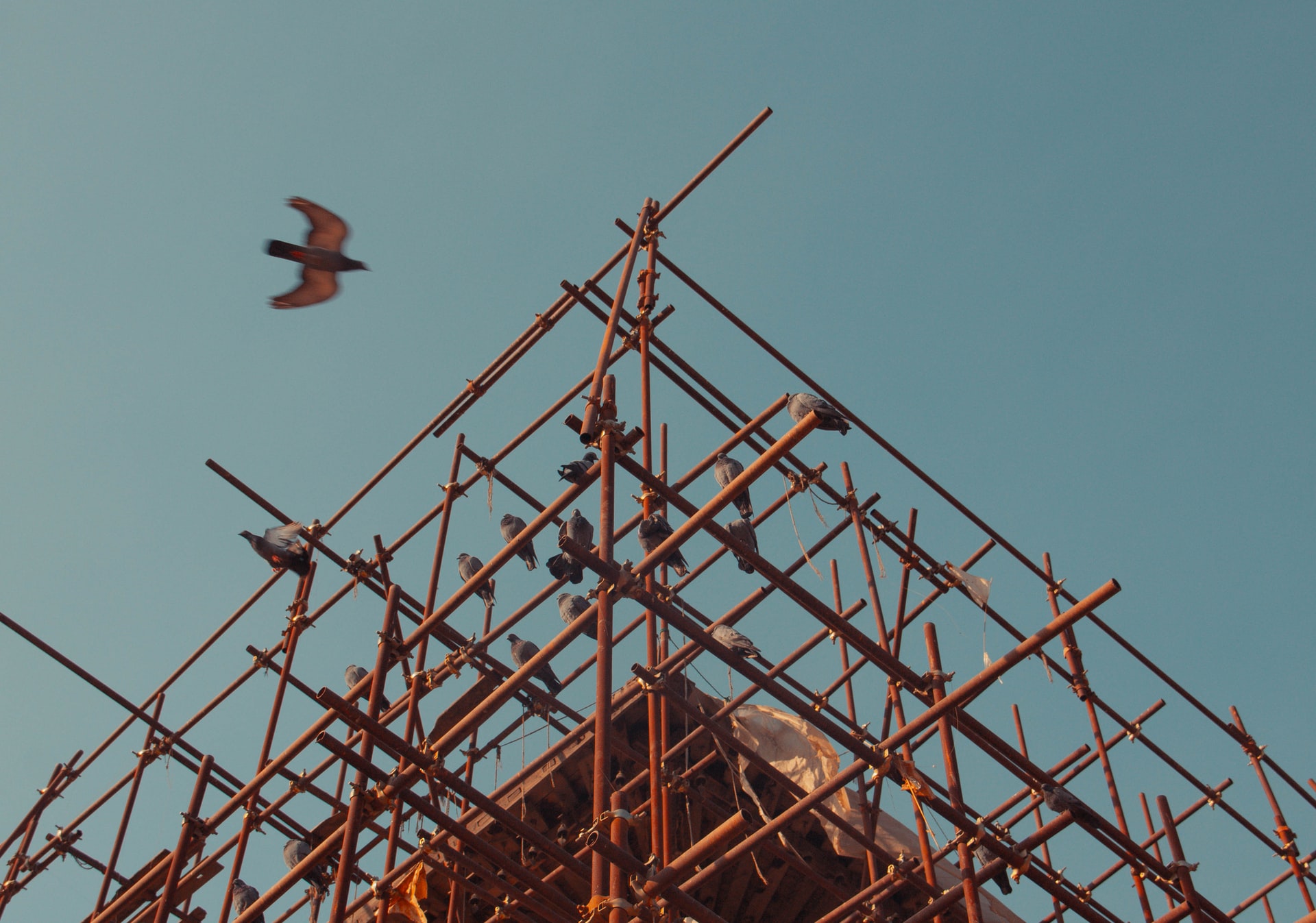 aaron-santelices-z03mWBdAq5I-unsplash